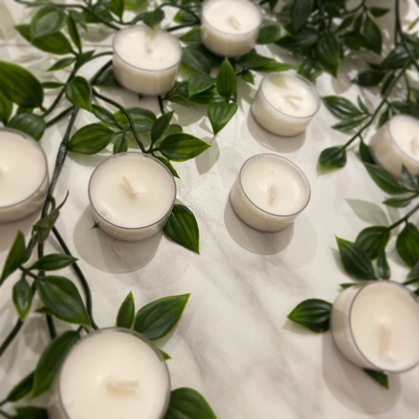 Rapeseed Wax Tea lights